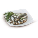SARDINA PULITA